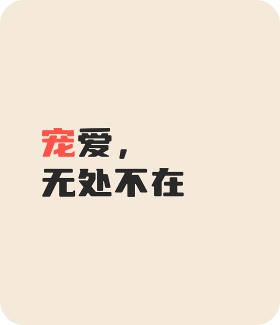 zoty中欧宠物，无处不在